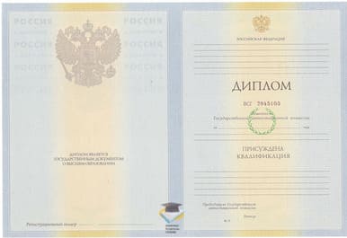 Диплом НОУ ВПО ИПИ 2010-2011 годов