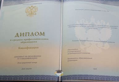 Диплом Профессионального лицея № 60 г. Стерлитамак 2014-2020 годов